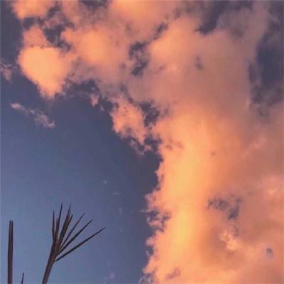 牡丹加强版手游下载