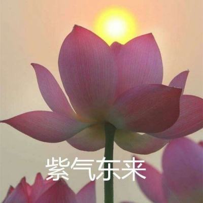 猛将兄留步360客户端下载